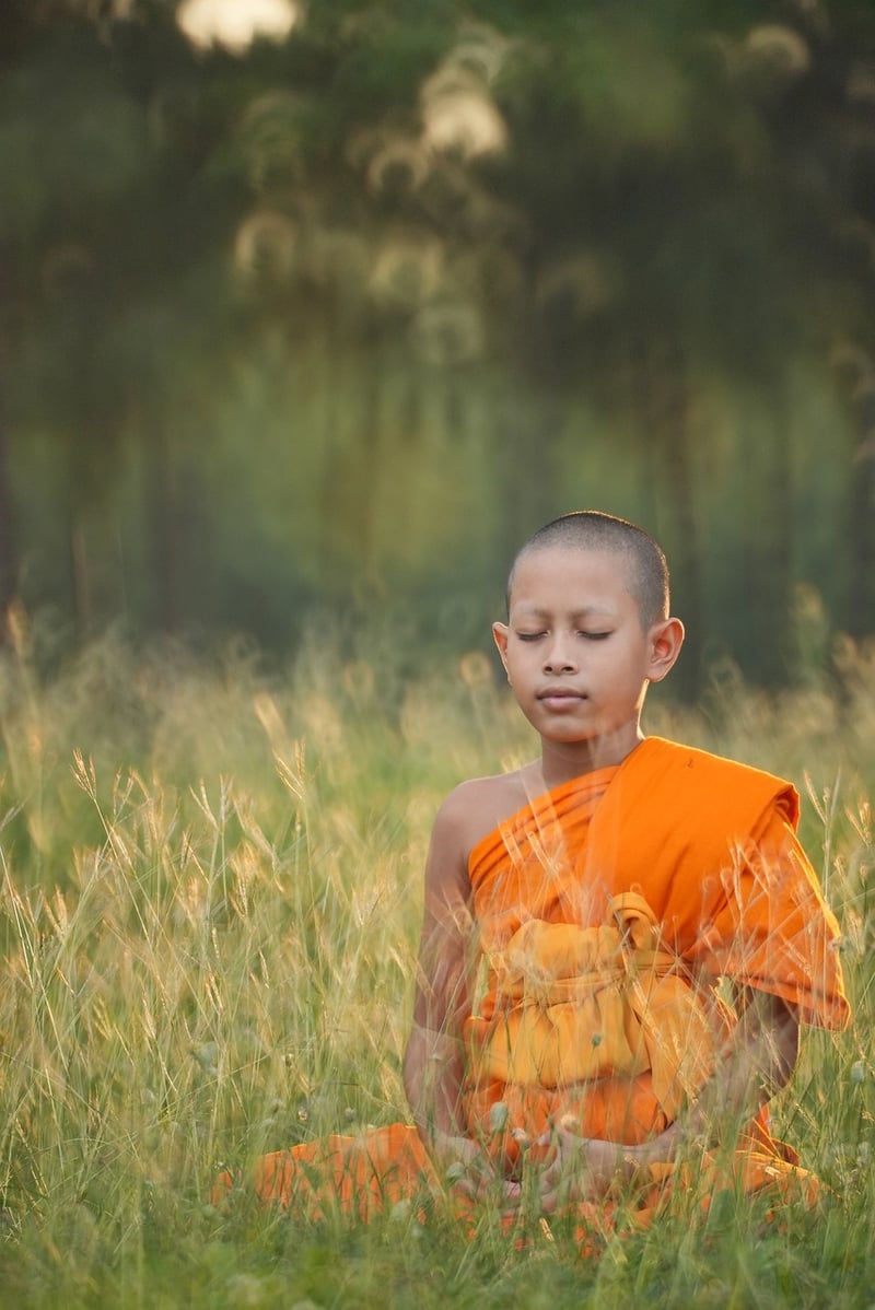Yang Style Tai Chi